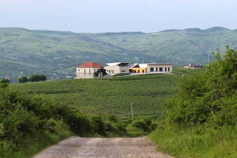 Winnice Dealu Mare: degustacja wina na Old Wine Road