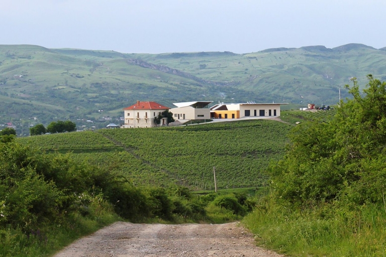 Dealu Mare wijnmakerijen: wijnproeverij op de oude wijnroute