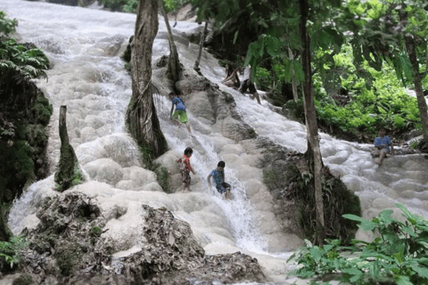 Chiang Mai: Pro Private Driver Service with Custom Itinerary