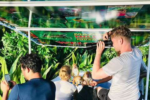 Mirissa to Matara: Crocodile, Bird, Monkey Photography Tour Shared Wildlife Photography Boat Tour - 2 Hours