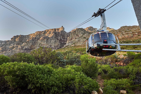 Cape Town: Table Mountain, Kirstenbosch Botanic Garden Tour Small Shared Group Tour ( All fees Entry are included)