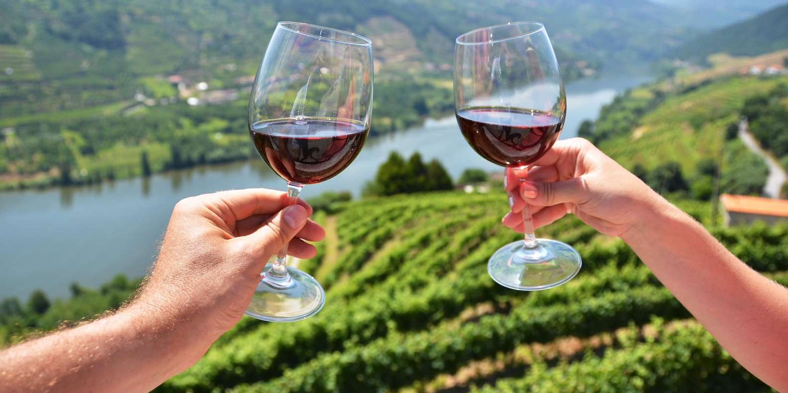 Porto: Douro Valley Day Trip with Wine Tasting & Cruise