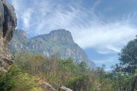 Cape Town: Skeleton Gorge Hike to Table Mountain Summit