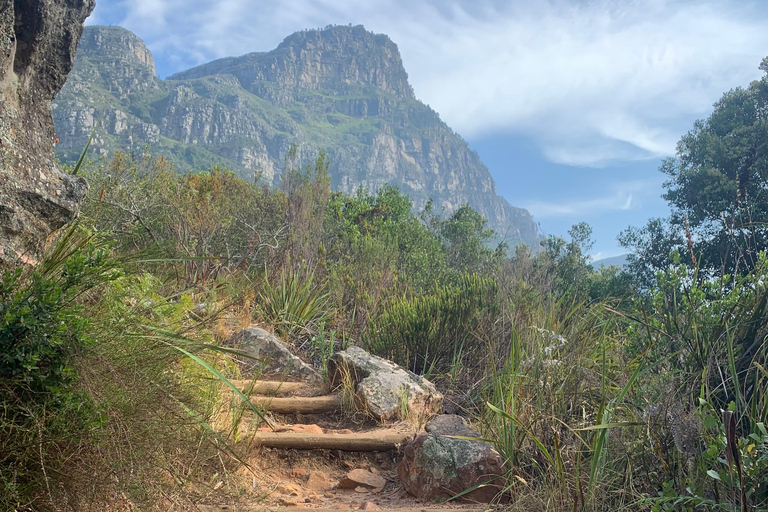 Ciudad del Cabo: De la Garganta del Esqueleto a la Cumbre de la Montaña de la Mesa