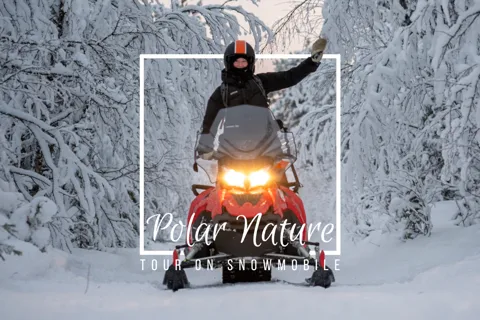 Polar Nature Tour mit dem Schneemobil