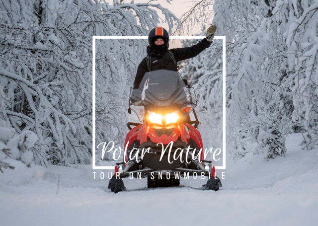 Visit Polar Nature Tour on Snowmobile in Northern Lapland