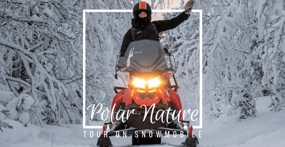 Polar Nature Tour on Snowmobile
