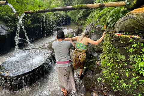 Bali: Tour del villaggio di Taro e del tempio dell&#039;acqua di sorgente sacraTour del Tempio dell&#039;Acqua Santa con trasporto da Ubud