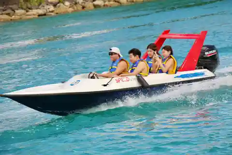 Nassau: Self-Drive Speedboat Ride and Pig Swimming Encounter