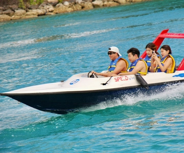Nassau: Self-Drive Speedboat Ride and Pig Swimming Encounter