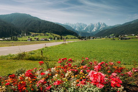 Vienne : Alpes autrichiennes, Hallstatt et Salzbourg visite guidée