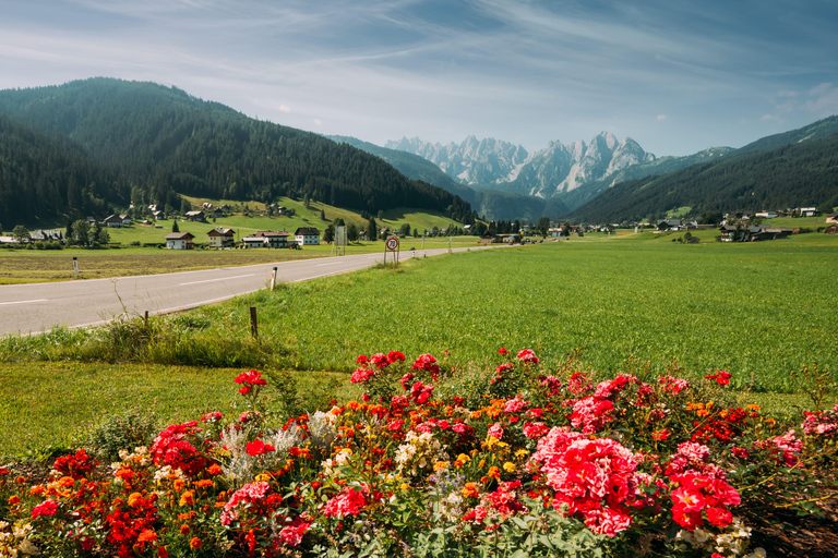 Wien: Österreichische Alpen, Hallstatt und Salzburg Geführte Tour