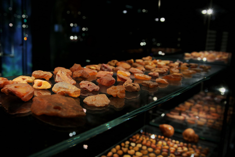 Exclusive Gdańsk: Museums, Skyline Toast & Michelin Dinner