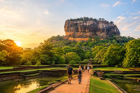 From Colombo/Negombo: Wilpattu Safari & Sigiriya Transfer Morning Session