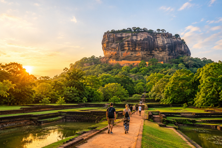From Colombo/Negombo: Wilpattu Safari & Sigiriya Transfer Morning Session
