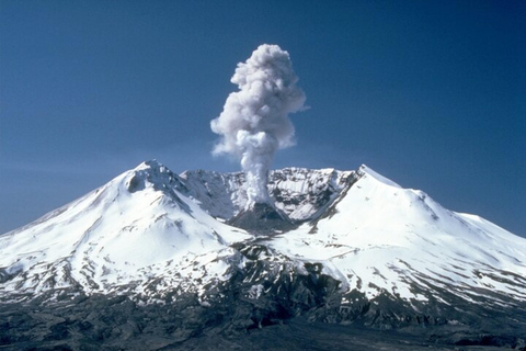 From Seattle: Mt Saint Helen Tour Private Tour