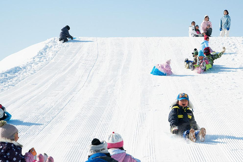 Hokkaido: Asahiyama Dierentuin, Shirahige Val, Ningle Terras Dag