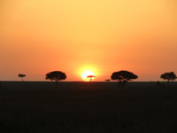 4 Days safari budget - Hizvo