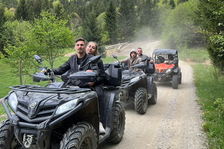 Bucareste: Santuário dos Ursos Pardos e Passeio de Quadriciclo