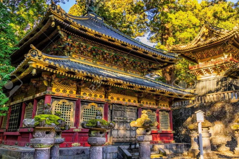 Tokio: Nikko – Private &amp; anpassbare Sightseeing-Tagestour