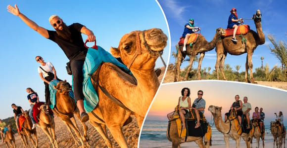 Agadir: Camel Ride by Souss River with Hotel Pickup