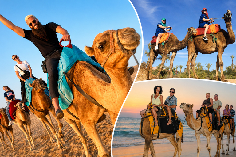 Agadir: Camel Ride by Souss River with Hotel Pickup