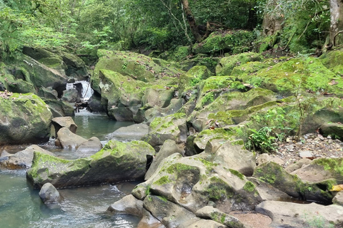 5-Stunden-Tour zur Affeninsel Embera Gemeinde Gamboa Panama