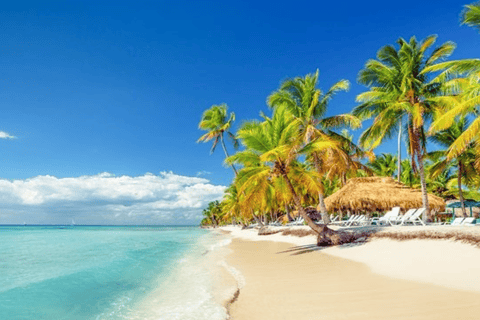 Private: Saona Island & Altos de Chavon Full Day Punta Cana.