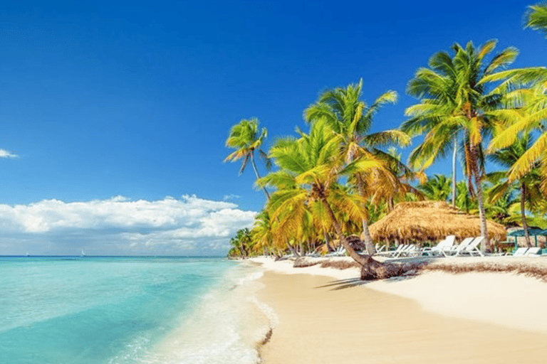 Private: Saona Island & Altos de Chavon Full Day Punta Cana.