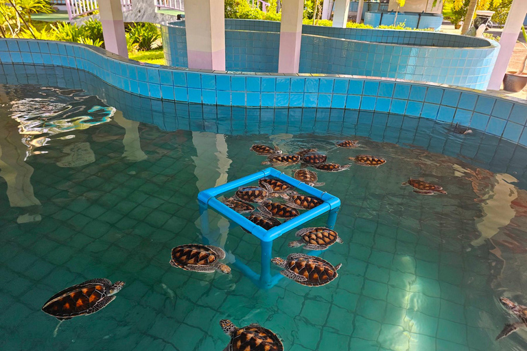 Khao Lak: Jangada de Bambu, ATV e Tour Particular das Tartarugas MarinhasKhao Lak: Tour particular com jangada de bambu, ATV e tartarugas marinhas