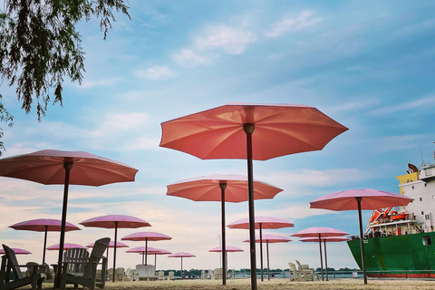 Toronto: Saturday Morning Market to Market Bicycle Tour