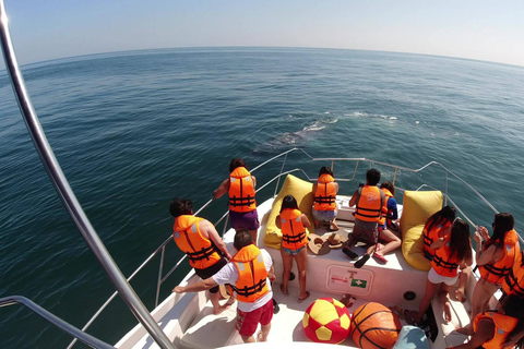 From Tumbes/Zorritos: Whale Watching & Sea Turtle Swim Tour