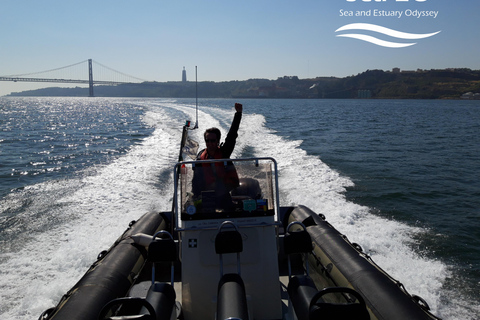 Lissabon: Speedboat-tur vid solnedgång eller dagsljus