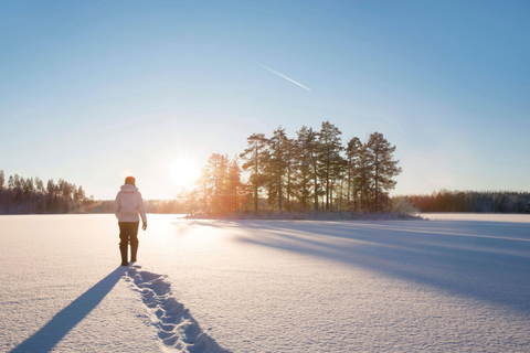 Nuuksio National Park Snowshoe Hike with Lunch & Pickup