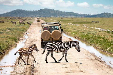 Arusha : Safari en camping de plusieurs jours au Serengeti et au Ngorongoro