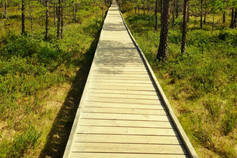 Tallinn: Jägala Waterfall and Harju County Tour