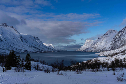 Tromsø : Tour des fjords et des plages avec feu de camp et photos