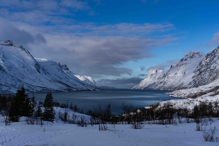 Tromsø : Tour des fjords et des plages avec feu de camp et photos