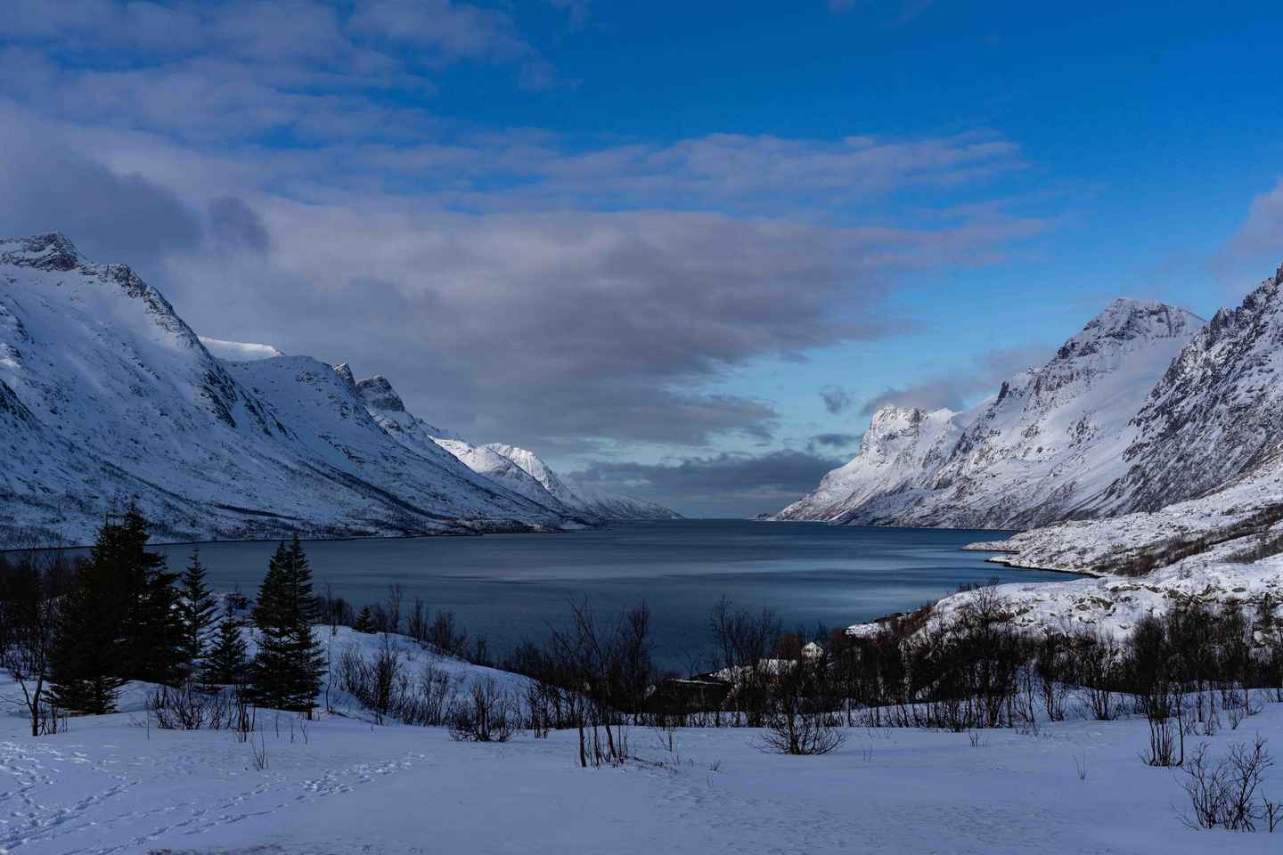 Tromsø : Explorez les Fjords et Plages avec Feu de Camp et Photos