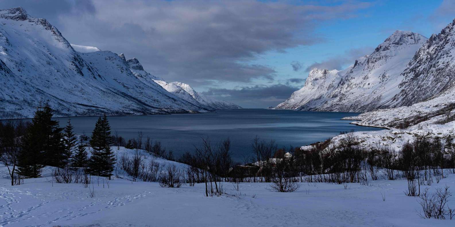 Tromsø: Fjords & Beaches Tour with campfire and photos