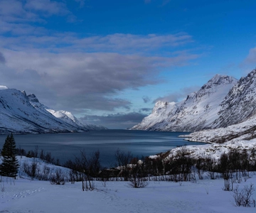 Tromsø: Fjords & Beaches Tour with campfire and photos
