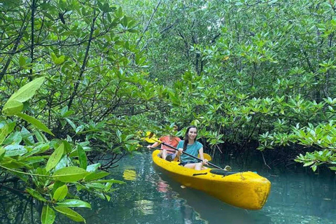 桑给巴尔：乌兹岛红树林皮划艇之旅，品尝热带水果私人导游服务（不含接送）