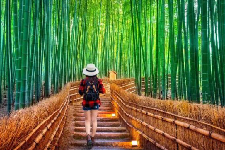 Kyoto Private Customizable Day Tour with Driver-Guide Kyoto Private Tour with Driver
