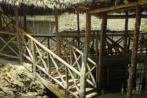 Swimming with turtles at The Lagoons Zanzibar in Nungwi Pickup from Nungwi/kendwa without entrance tickets (10$pp)
