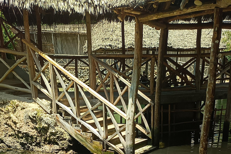 Swimming with turtles at The Lagoons Zanzibar in Nungwi Pickup from Nungwi/kendwa without entrance tickets (10$pp)