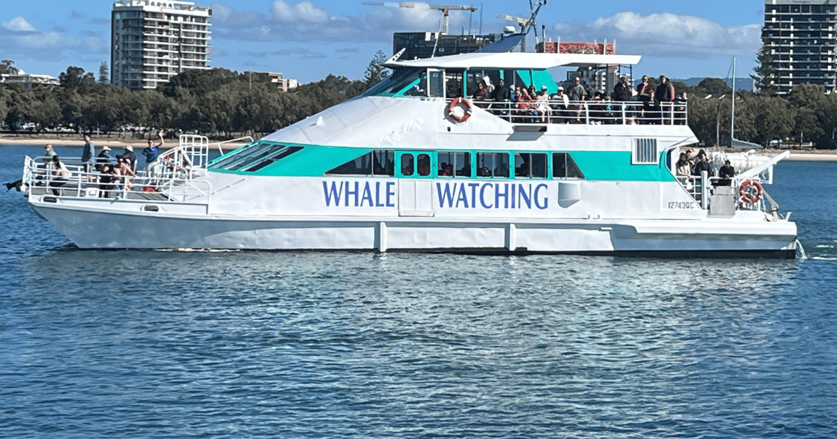 Broadwater Discovery Lunch Cruise with Spirit of Gold Coast GetYourGuide