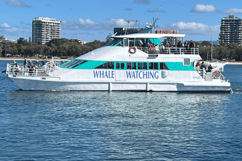 Cruzeiro com almoço no Broadwater Discovery com o Spirit of Gold Coast