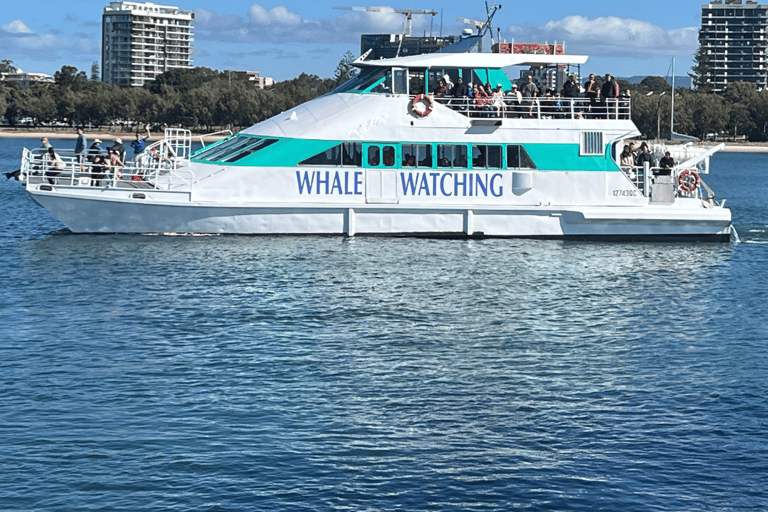 Broadwater Discovery Lunch Cruise met Spirit of Gold Coast