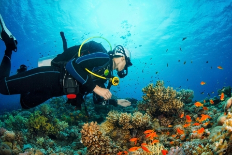 Au départ de Bakou : Expérience de plongée sous-marine pour les débutants