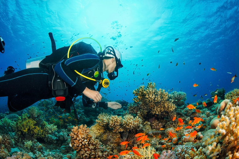 Desde Bakú: Experiencia de buceo para principiantes